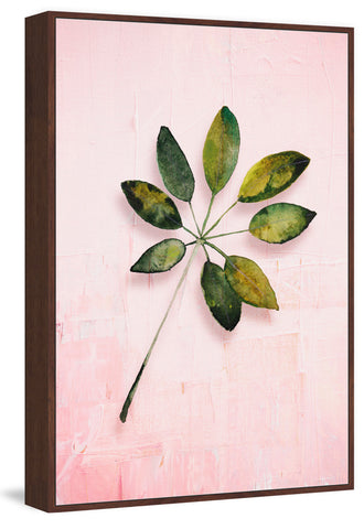 Leaf Portrait in Blush