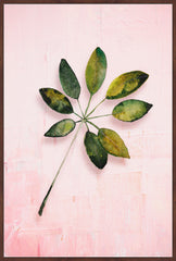 Leaf Portrait in Blush