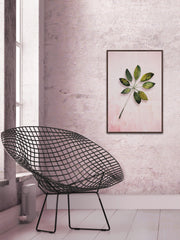 Leaf Portrait in Blush