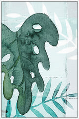 Tropical Leaf