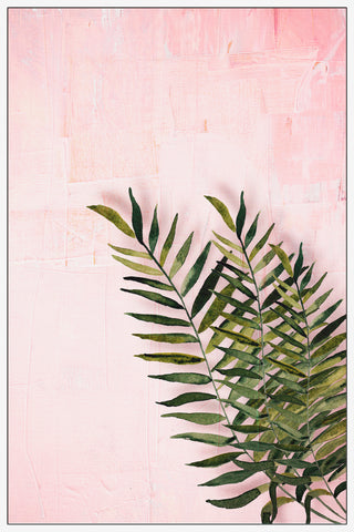 Palm Leaves in Blush