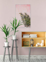 Palm Leaves in Blush