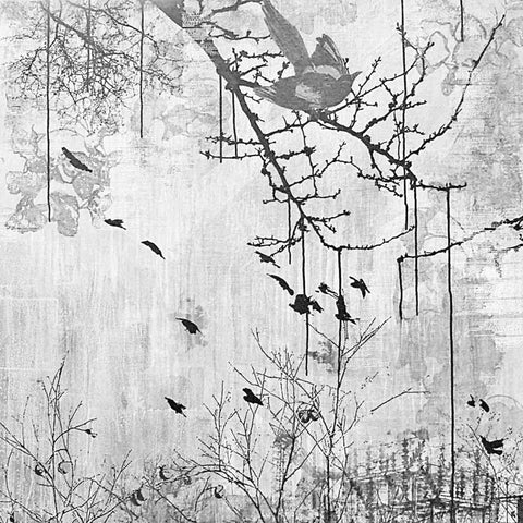Magpie and Persim