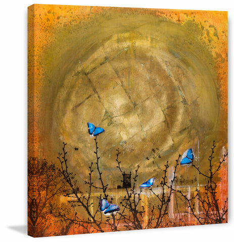 Blue Butterflies