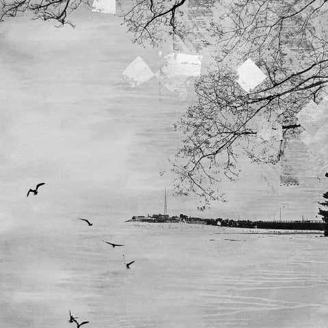 New Beford Harbor