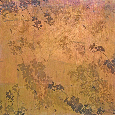 Sapiro