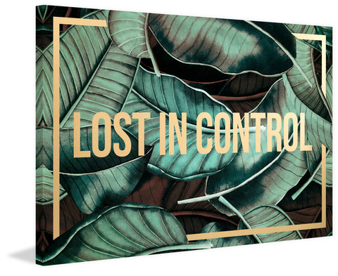 Lost in Control