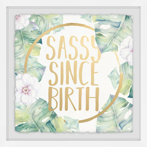 Sassy since Birth IV
