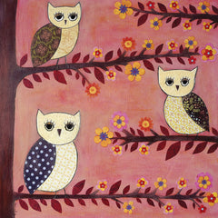 3 Wise Owls