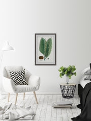 Flore des Environs de Paris