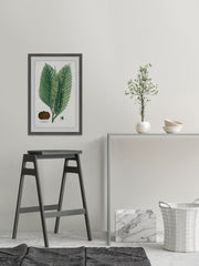 Flore des Environs de Paris