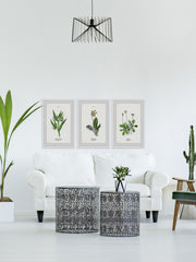 Pulsatilla Flowers Triptych