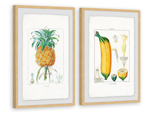 Tropical Fruits Diptych