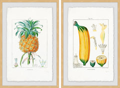 Tropical Fruits Diptych
