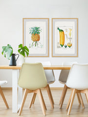 Tropical Fruits Diptych