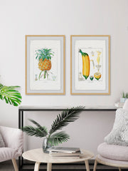 Tropical Fruits Diptych