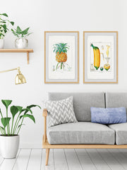 Tropical Fruits Diptych