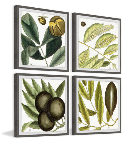 Green Catkins Quadriptych