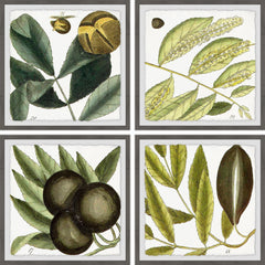 Green Catkins Quadriptych