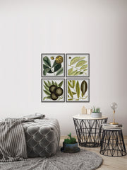 Green Catkins Quadriptych