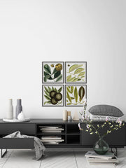 Green Catkins Quadriptych