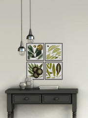 Green Catkins Quadriptych