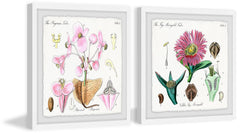 Flower Tribes Diptych