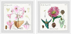 Flower Tribes Diptych
