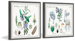 We Are Bellflowers Diptych