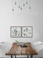 We Are Bellflowers Diptych