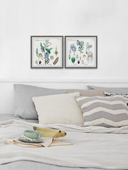 We Are Bellflowers Diptych