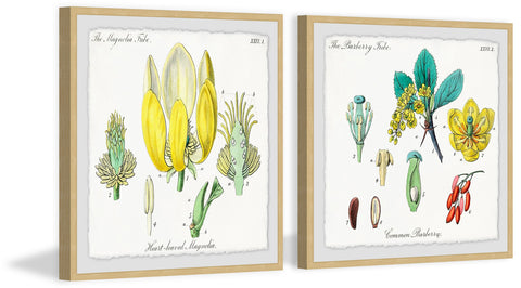 Isn’t Cute? Diptych