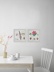 Growing Pink Diptych