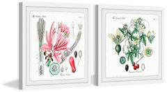 Beauty Starts Here Diptych