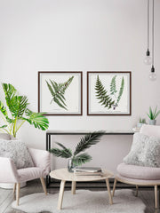 Fern Leaves Diptych