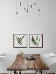 Fern Leaves Diptych