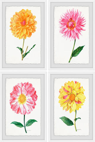 Flower Power Quadriptych