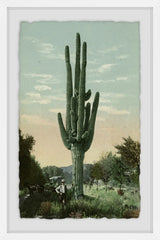 Lofty Cactus