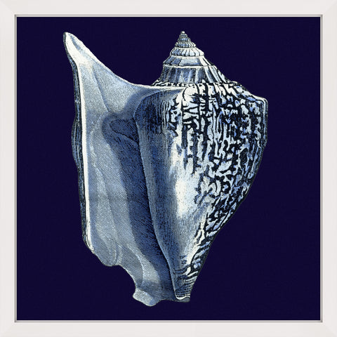 Indigo Shell I