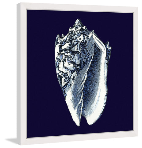 Indigo Shell II