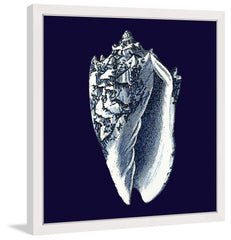 Indigo Shell II