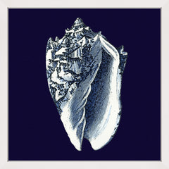 Indigo Shell II