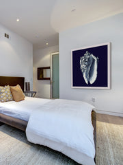 Indigo Shell II
