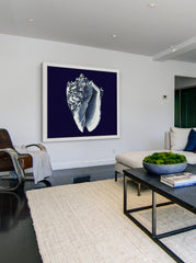Indigo Shell II