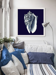 Indigo Shell II