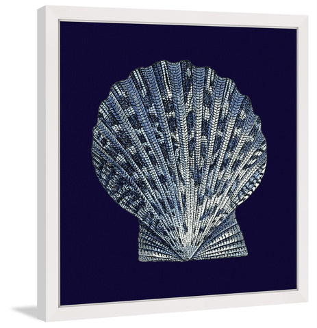 Indigo Shell VIII