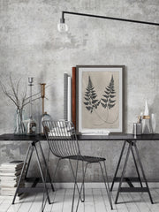 Vintage Fern Study VI