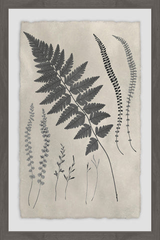 Vintage Fern Study VII