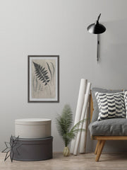 Vintage Fern Study VII