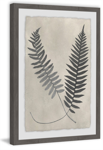 Vintage Fern Study VIII